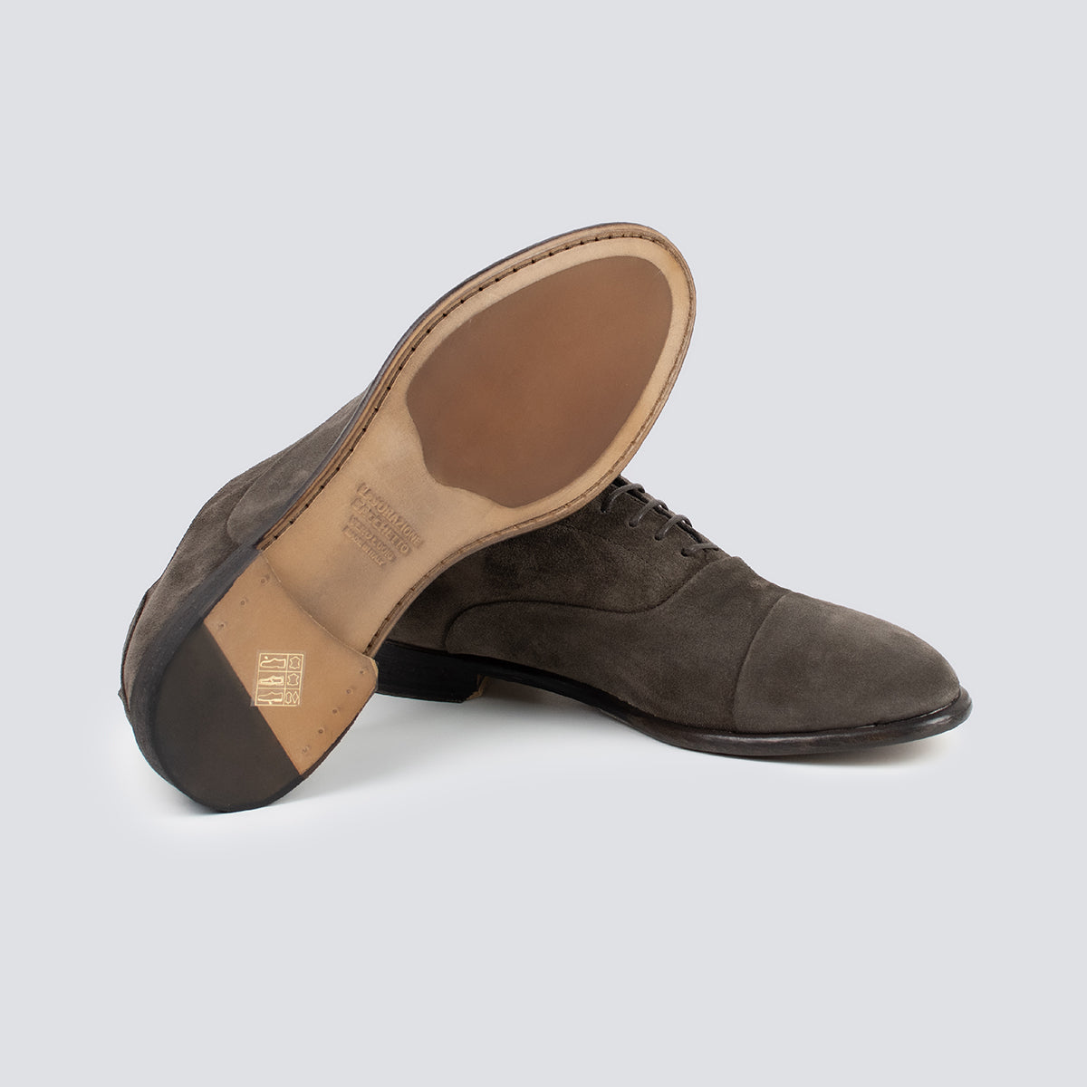 OXFORD - K015 MARRONE