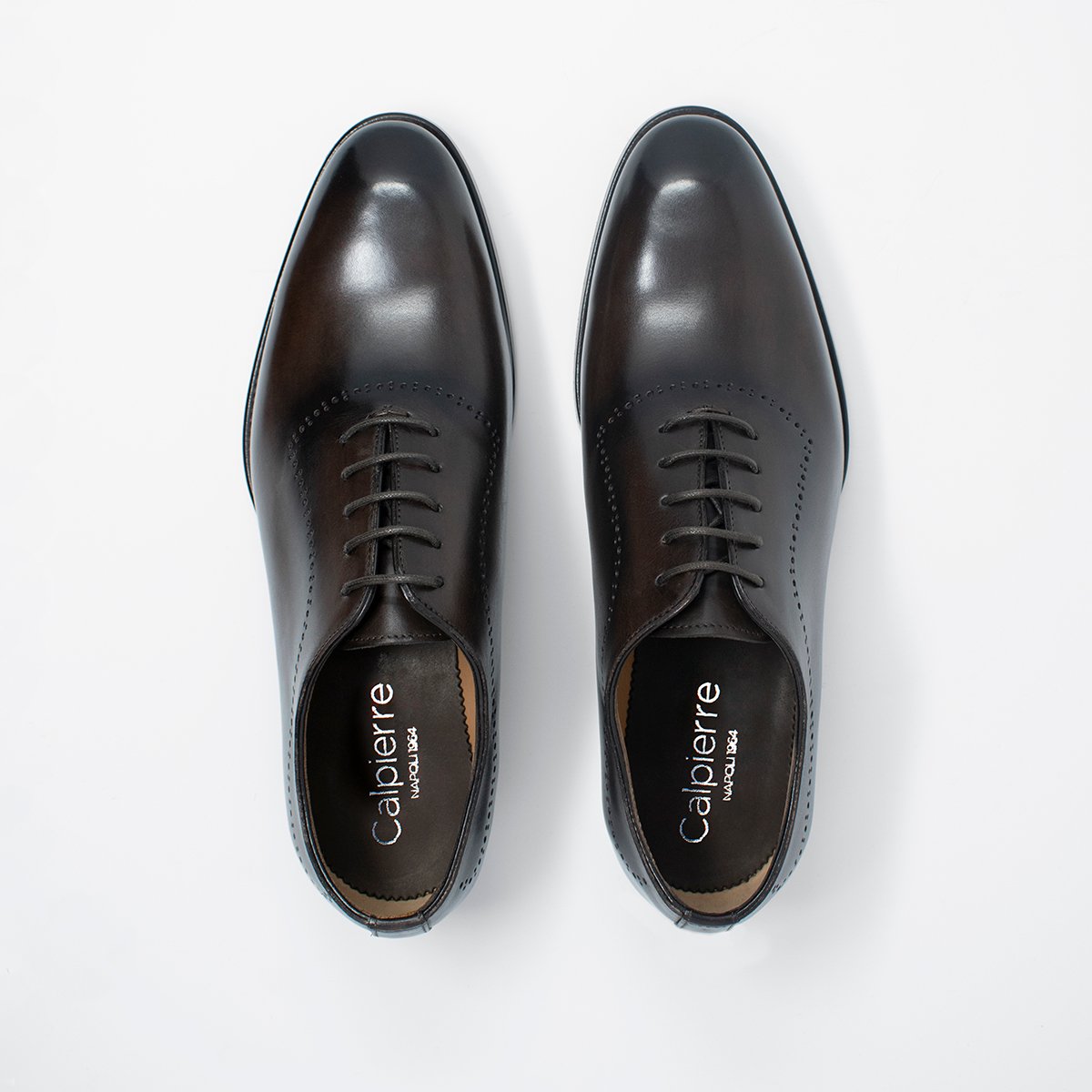 OXFORD - E008 MARRONE